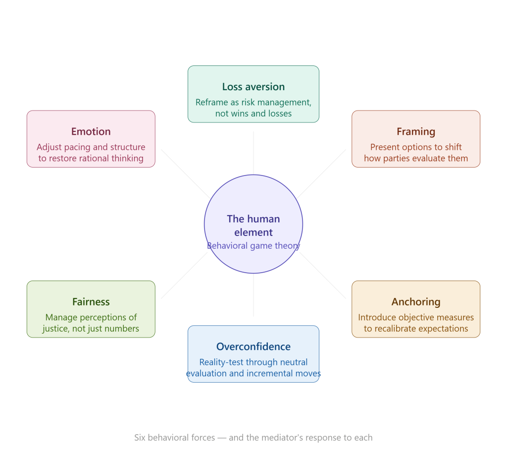 A behavioral bias wheel