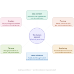 A behavioral bias wheel